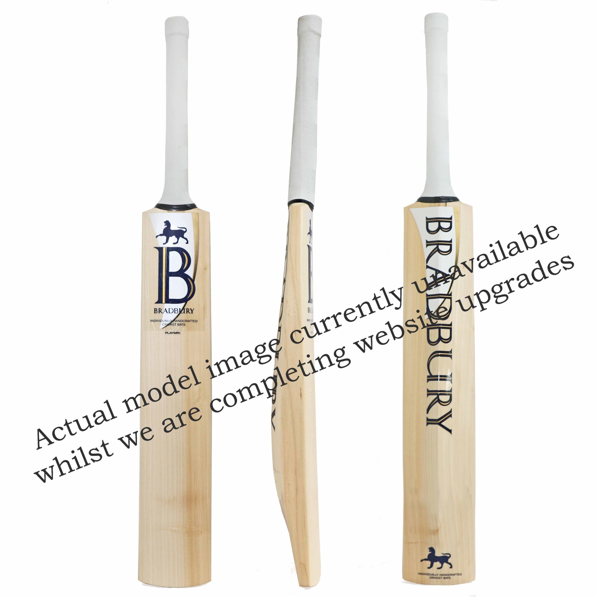 Professional Pro XI Cricket Bat SH Bradbury Cricket
