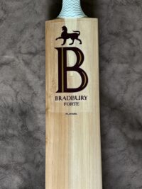 Forte Players Cricket Bat 2LB 14oz